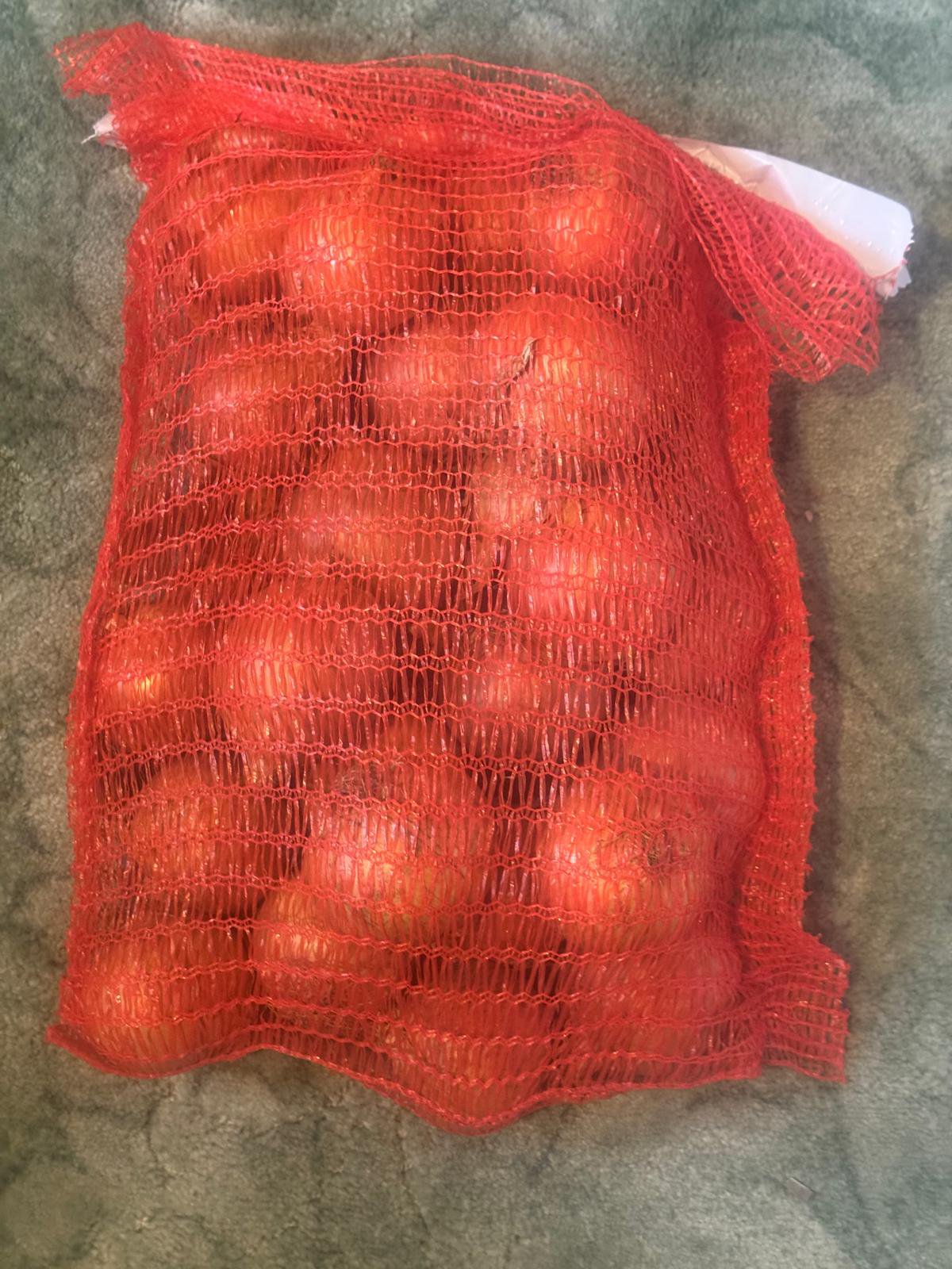 Onions - Image 2