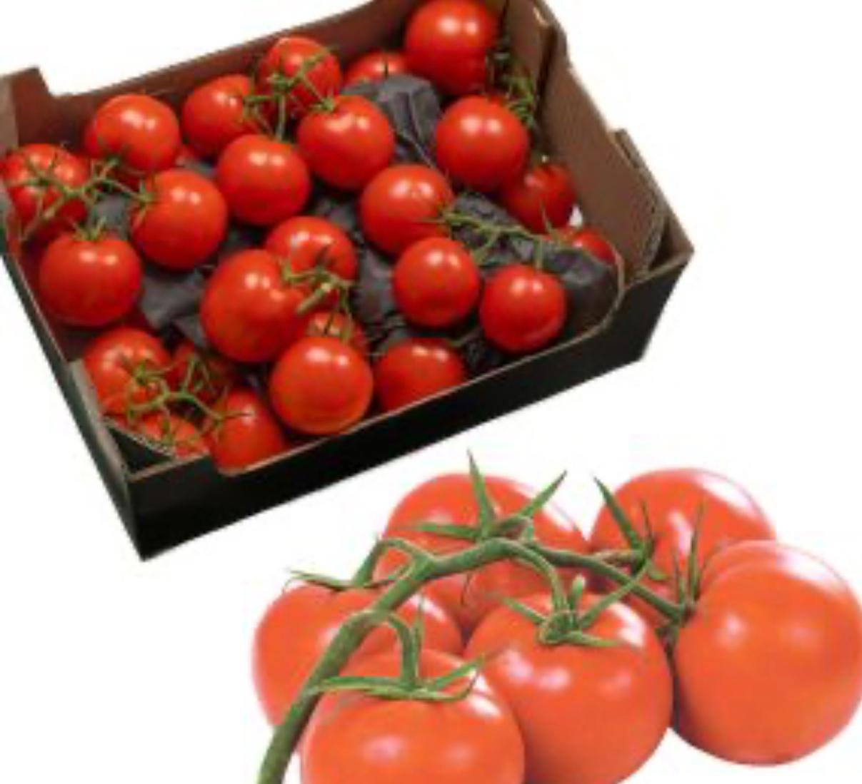 Vine Tomatoes