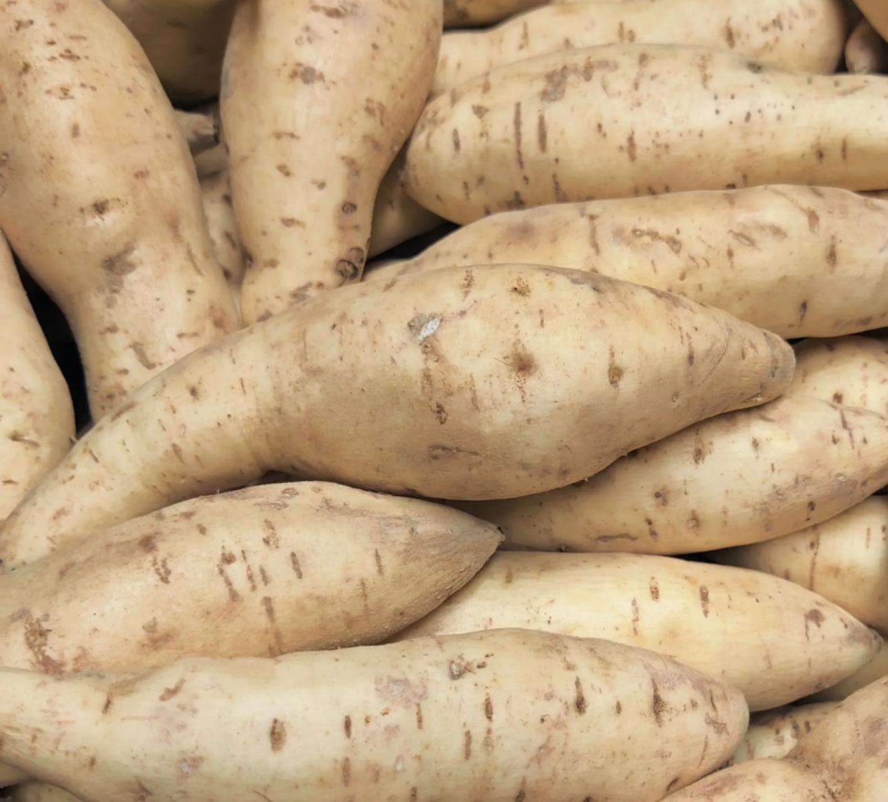 White Sweet Potatoes