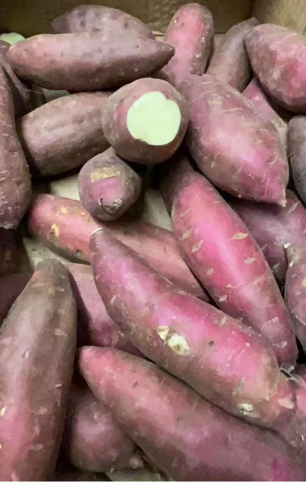 Red Sweet Potatoes