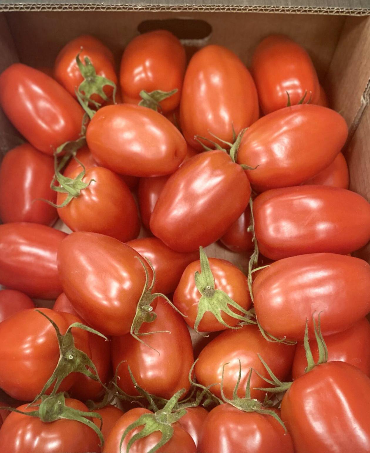 Plum Tomatoes